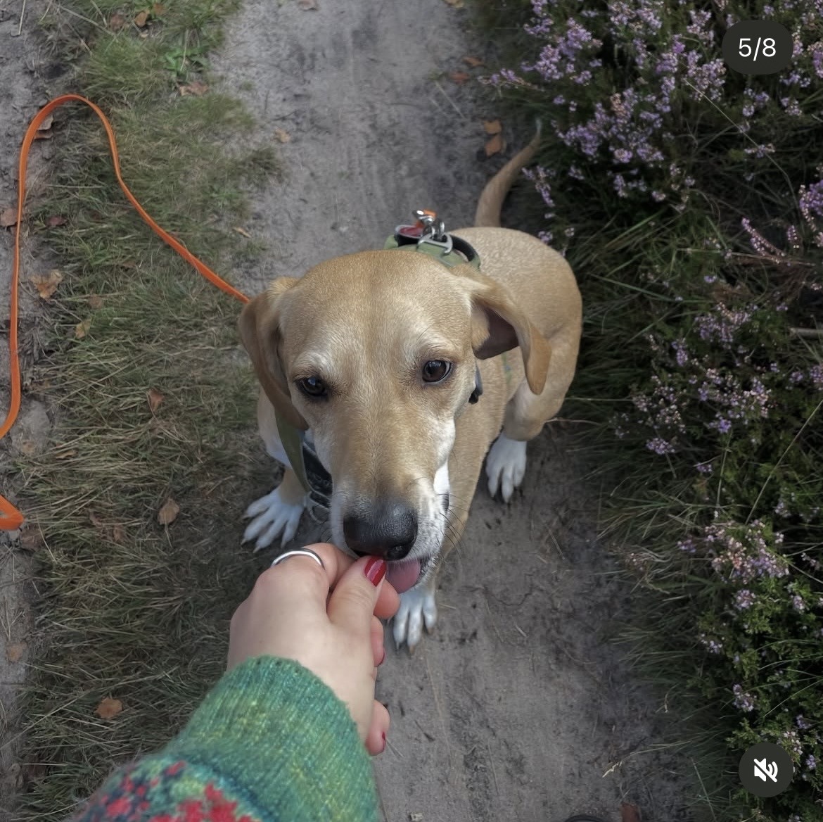 Ronja mit Elmar